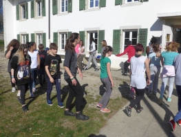 2017_UCD_ 010.jpg
